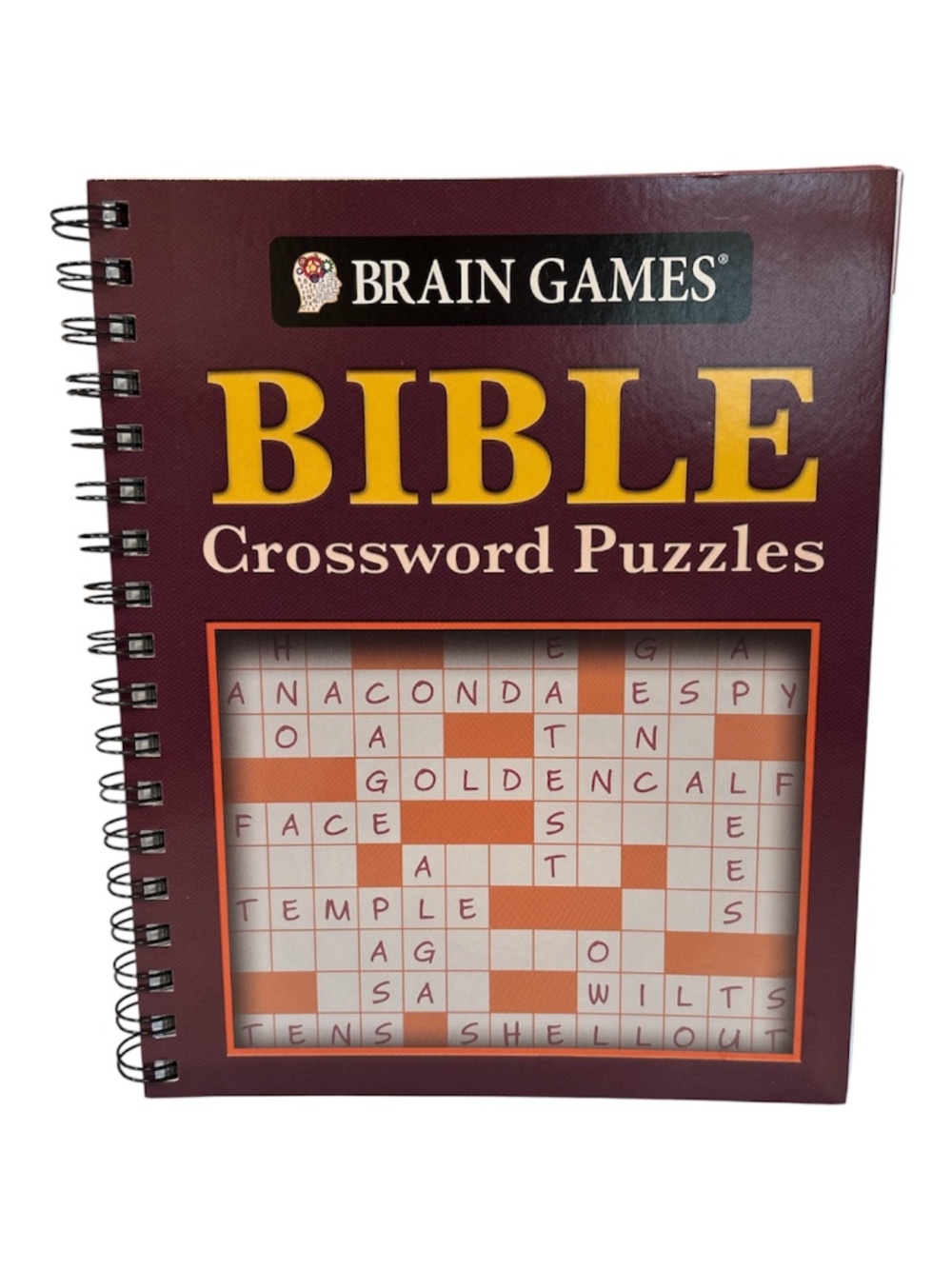 BIBLE CROSSWORD PUZZLES Large Print and Pen